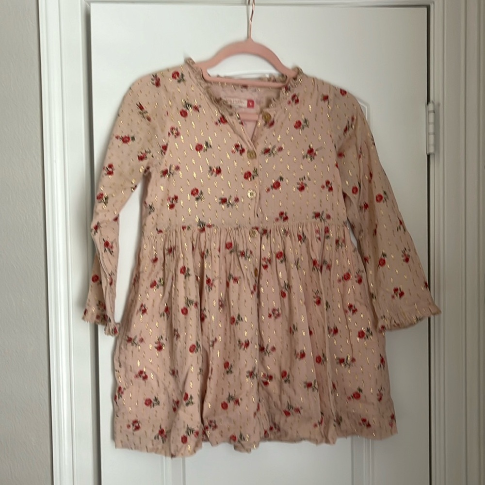Girls Pink Chicken dress. Front buttons sparkle floral print full lined